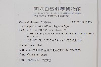 蒿蕨藏品圖，第2張