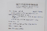 擬芨瓦葦藏品圖，第2張