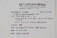 石葦藏品圖，第2張