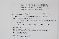 波氏星蕨藏品圖，第2張