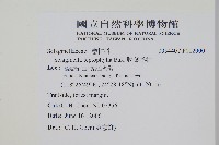 日本卷柏藏品圖，第2張