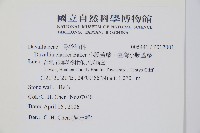 小膜蓋蕨、臺灣小膜蓋蕨藏品圖，第2張