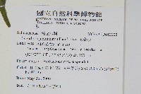 海金沙藏品圖，第2張