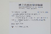 玉山瓦葦藏品圖，第2張