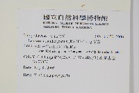 瓦葦藏品圖，第2張