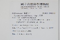 星蕨藏品圖，第2張