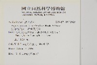 劍葉鐵角蕨、箭葉鐵角蕨藏品圖，第2張