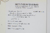 蓧蕨藏品圖，第2張
