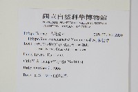 疏毛水龍骨藏品圖，第2張