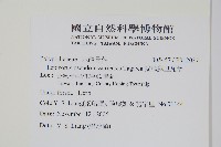 擬芨瓦葦藏品圖，第2張