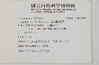 扇葉鐵線蕨藏品圖，第2張