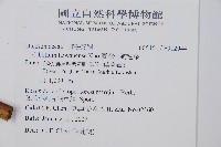 臺灣金狗毛蕨藏品圖，第2張