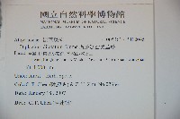 廣葉鋸齒雙蓋蕨藏品圖，第2張