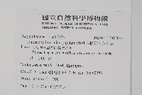 抱樹蕨、伏石蕨藏品圖，第2張