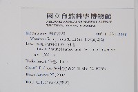 日本狗脊蕨藏品圖，第2張