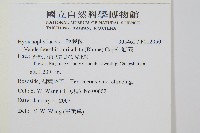 瓶蕨藏品圖，第2張