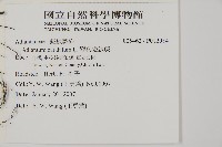 鞭葉鐵線蕨藏品圖，第2張