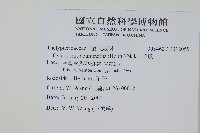 毛蕨藏品圖，第2張