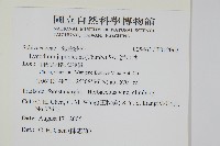 海金沙藏品圖，第2張