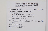 烏蕨藏品圖，第2張