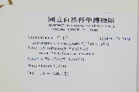 芒萁藏品圖，第2張