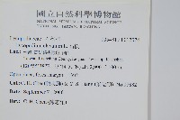 石松藏品圖，第2張