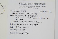 蓧蕨藏品圖，第2張