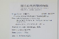 台灣茀蕨藏品圖，第2張