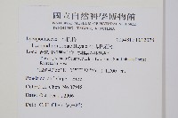 蛇足石杉、千層塔藏品圖，第2張