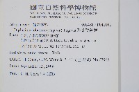 裂葉雙蓋蕨藏品圖，第2張