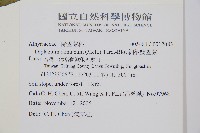 細柄雙蓋蕨藏品圖，第2張