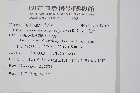 瓶蕨藏品圖，第2張