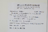 掌葉茀蕨藏品圖，第2張