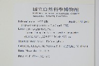 星蕨藏品圖，第2張