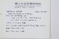 蘭嶼鐵角蕨藏品圖，第2張