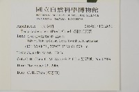 翅柄三叉蕨藏品圖，第2張