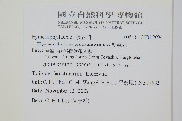 厚壁蕨藏品圖，第2張