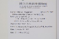 海南實蕨藏品圖，第2張