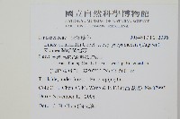 攀緣鱗始蕨藏品圖，第2張