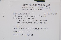 觀音座蓮藏品圖，第2張