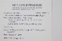 德氏雙蓋蕨藏品圖，第2張