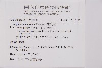 生芽鐵角蕨藏品圖，第2張