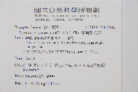 臺灣鱗毛蕨藏品圖，第2張