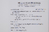 長柄千層塔藏品圖，第2張