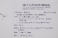 黑葉貞蕨藏品圖，第2張