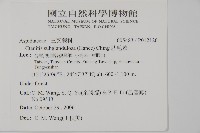 肋毛蕨藏品圖，第2張