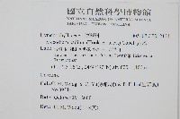 蕗蕨藏品圖，第2張