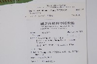 厚葉雙蓋蕨藏品圖，第2張