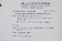 舌蕨藏品圖，第2張