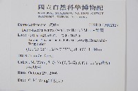 碗蕨藏品圖，第2張